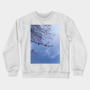 Red Maple Blossoms against a Blue Sky Crewneck Sweatshirt